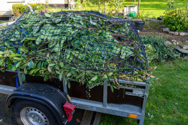 Best Dumpster Rental Services  in Burtonsville, MD